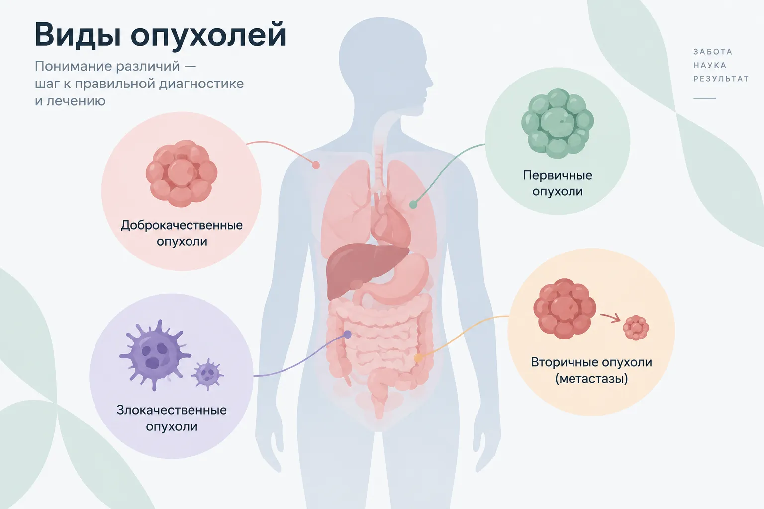 Виды опухолей и чем доброкачественная отличается от злокачественной